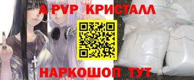 молекула духа Камышлов