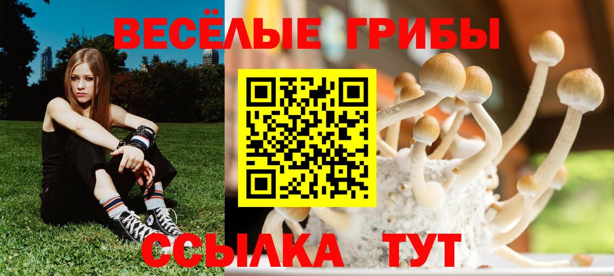 Псилоцибиновые грибы Psilocybine cubensis Южно-Сахалинск