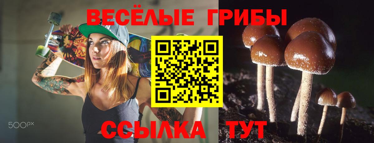 Южно-Сахалинск  Псилоцибиновые грибы Magic Shrooms  Вход с VPN 